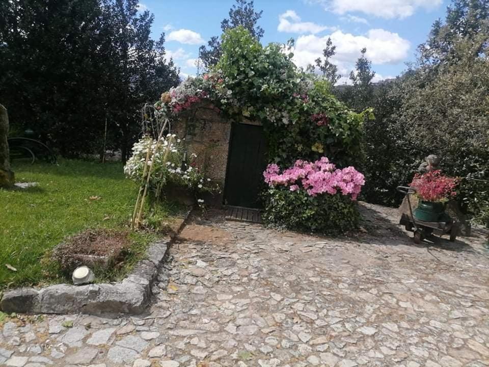 Villa Quinta Da Cartida Santa Marinha do Zêzere Exterior foto
